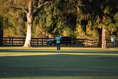 DSC_2390 (Large).JPG